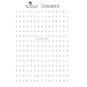 NursElet Breastfeeding Hidden Crosswords Baby Shower Game