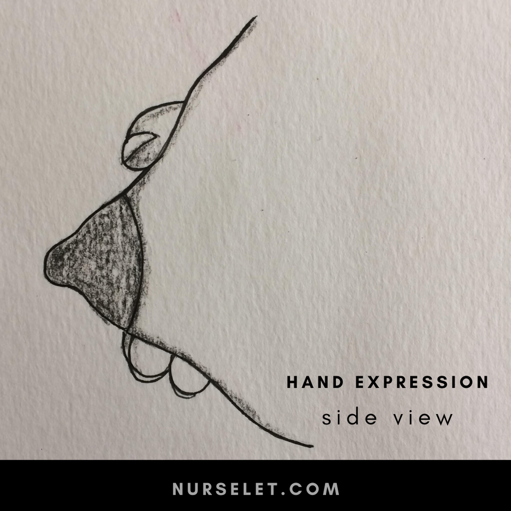 Hand Expression Breast Milk 101
