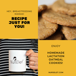 Simple Recipe to Make Delicious Homemade Lactation Oatmeal Cookies - NursElet